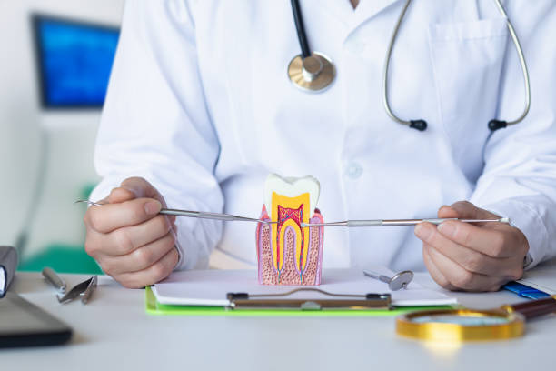 Best Emergency Wisdom Tooth Extraction in New River, AZ